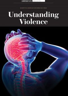 Understanding Violence Sale