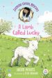 A Lamb Called Lucky Fashion