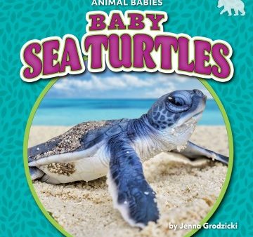 Baby Sea Turtles Online