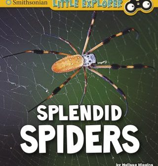 Splendid Spiders For Discount