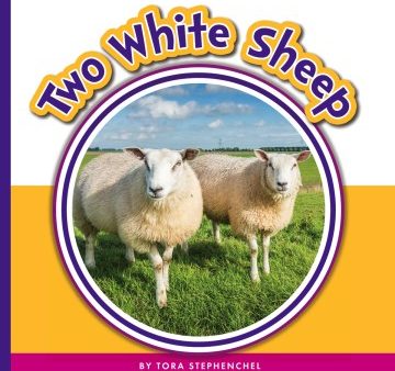 Two White Sheep Fashion