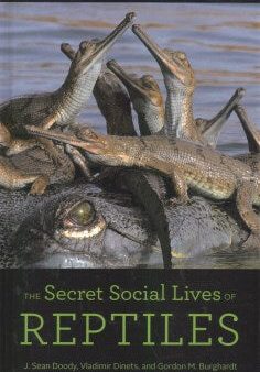 The Secret Social Lives of Reptiles Cheap