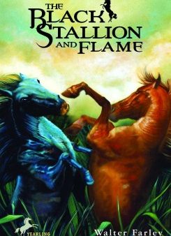 The Black Stallion and Flame Online Hot Sale